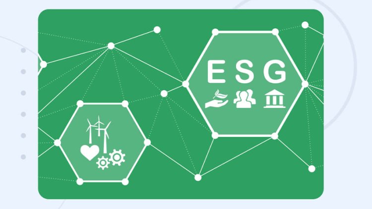 The Impact of Real-Time ESG Data on Corporate Decision-Making