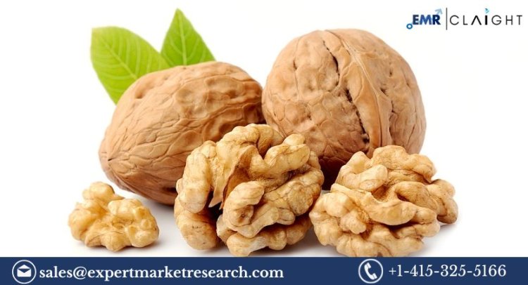 Walnut Market Size, Share & Growth 2025-2034